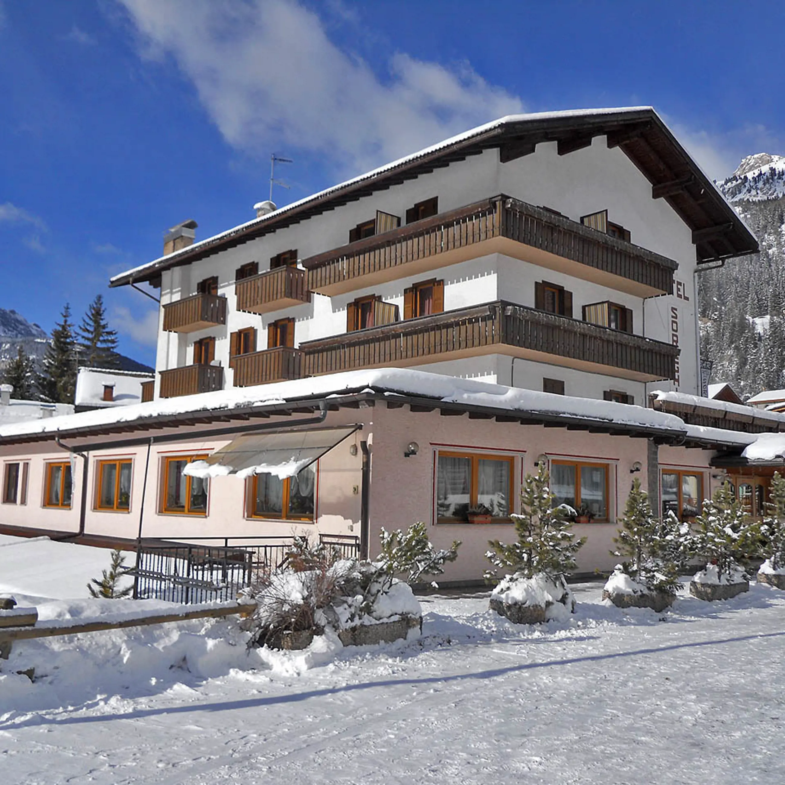 Skidresor till Italien och Alperna 2024/2025 Lion Alpin